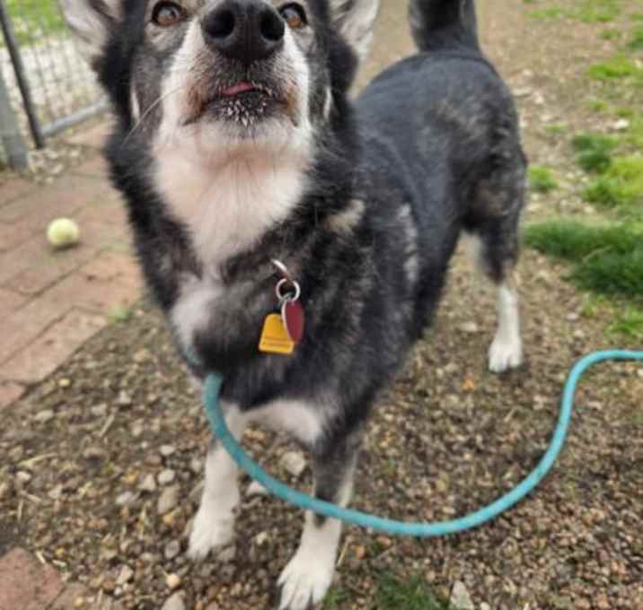 Photo of Stormy