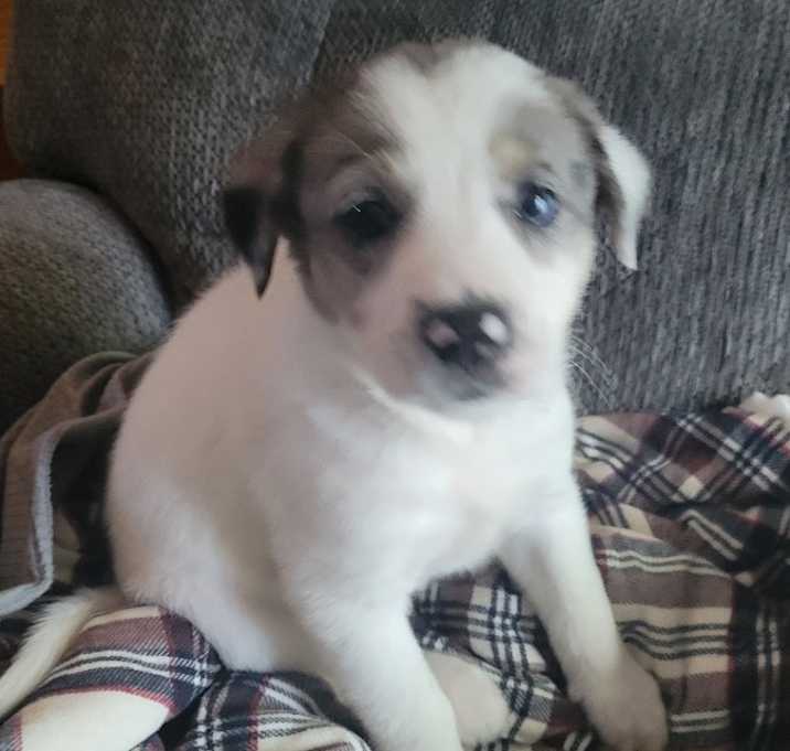 Photo of Asher