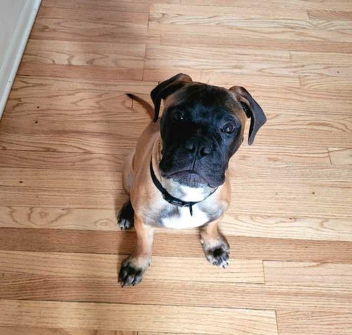 Photo of Henry
