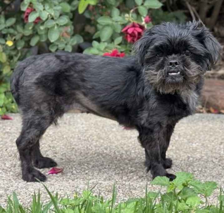 Photo of Elsa