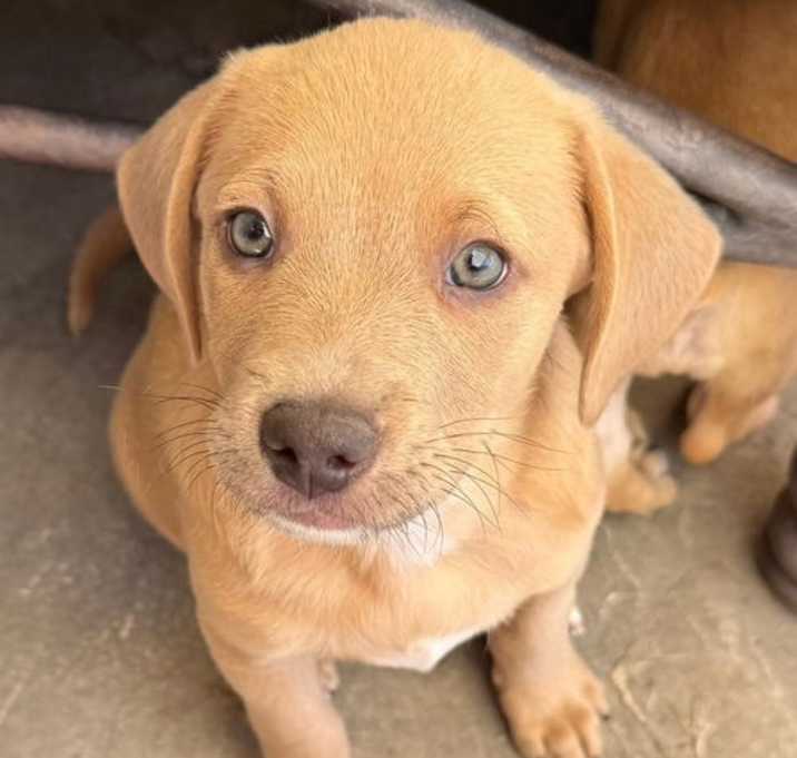 Photo of Ramsey