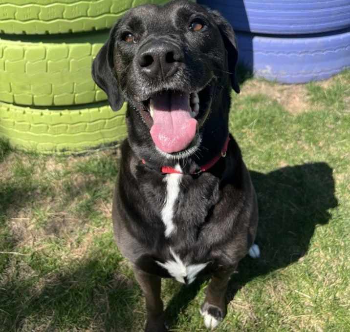 Photo of Tex
