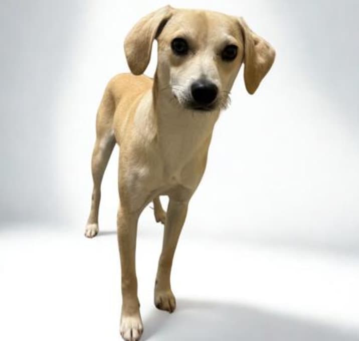 Photo of Zip