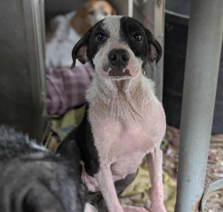 Photo of Winifred