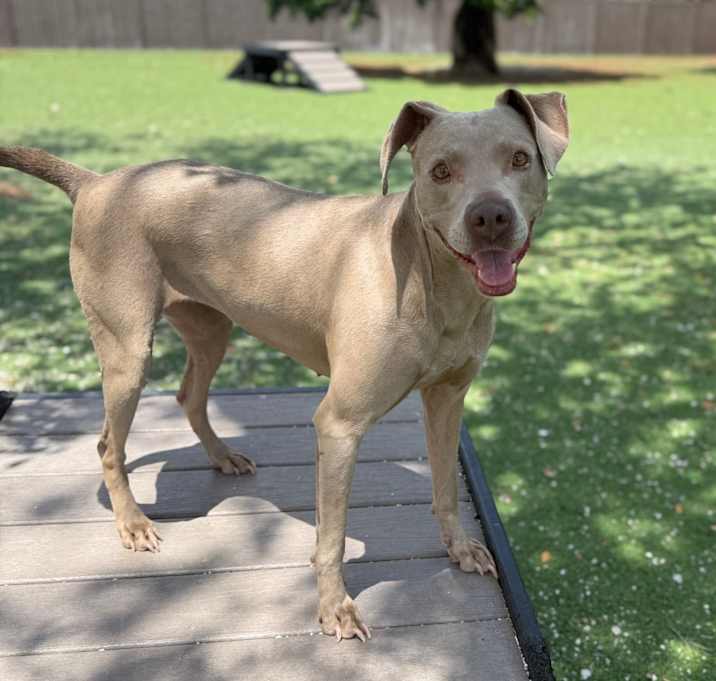 Photo of Abby 6049
