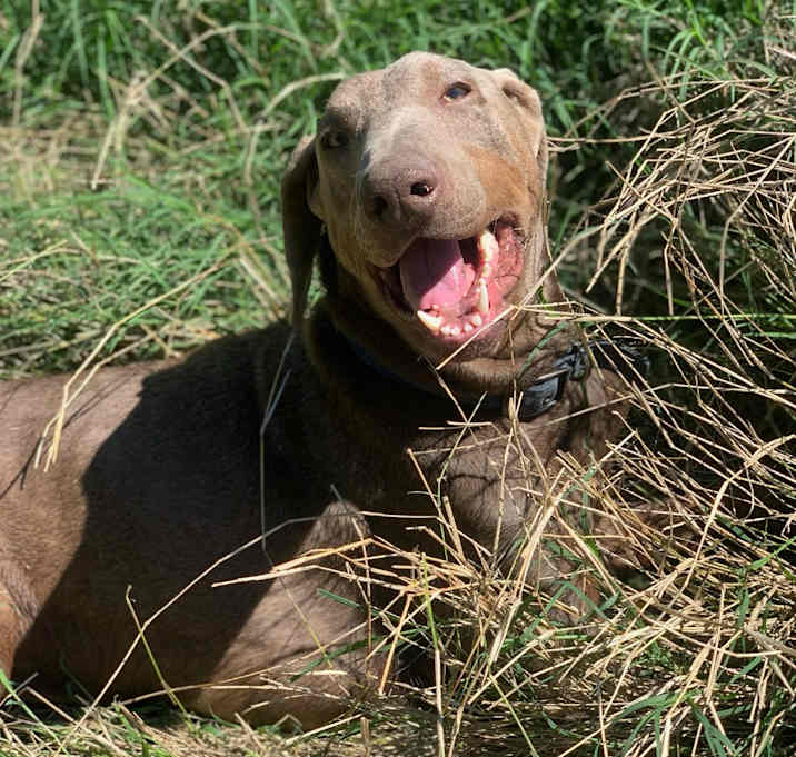 Photo of Winston