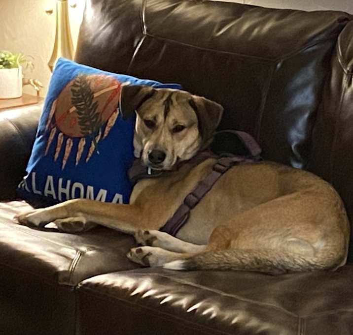 Photo of Jovie