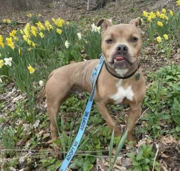 Photo of THOR