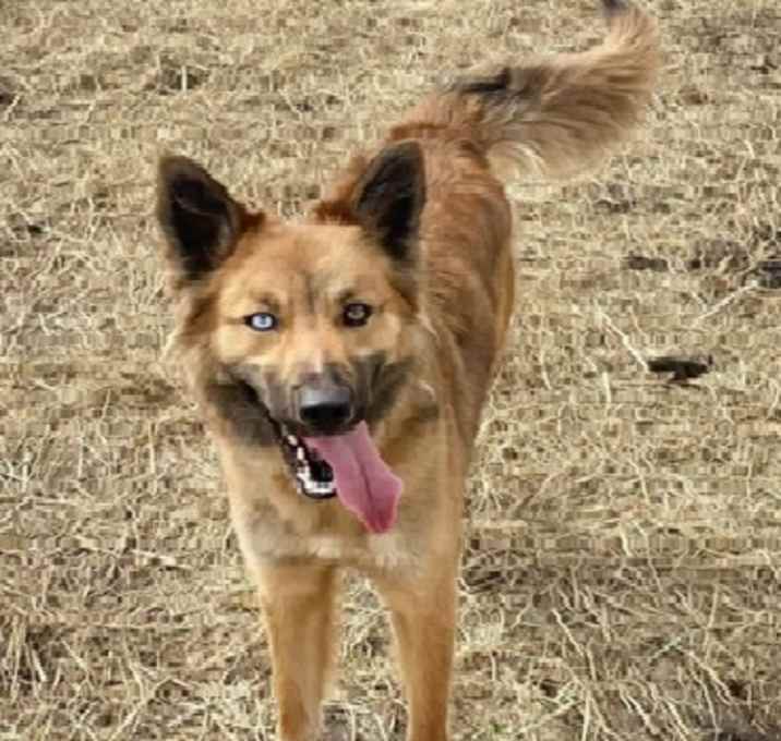 Photo of Sadie