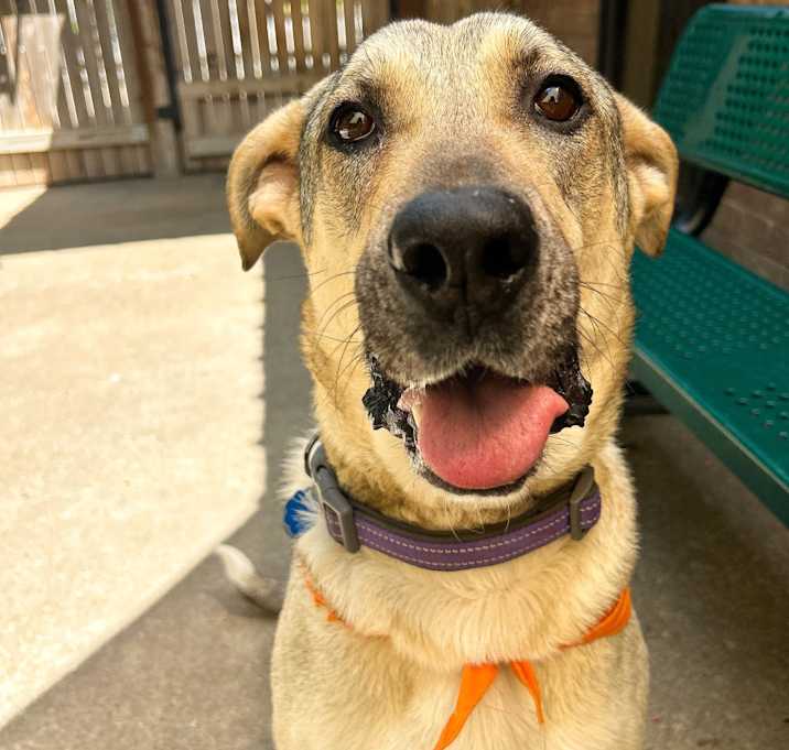 Photo of Pepper