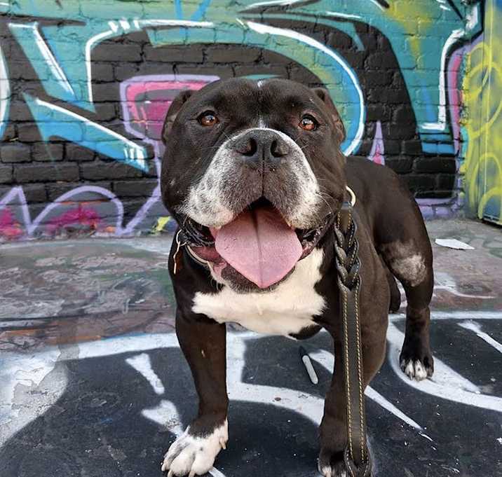 Photo of Brick
