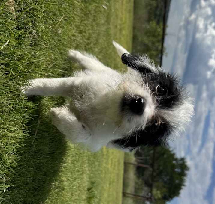 Photo of Hazel