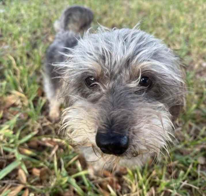 Photo of Arthur