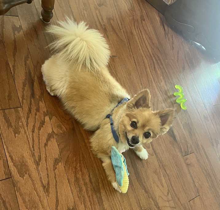 Photo of Noah
