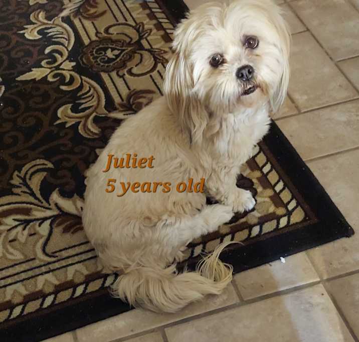Photo of Juliet
