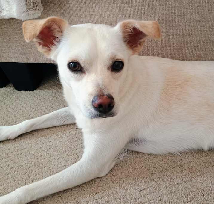 Photo of Keeba