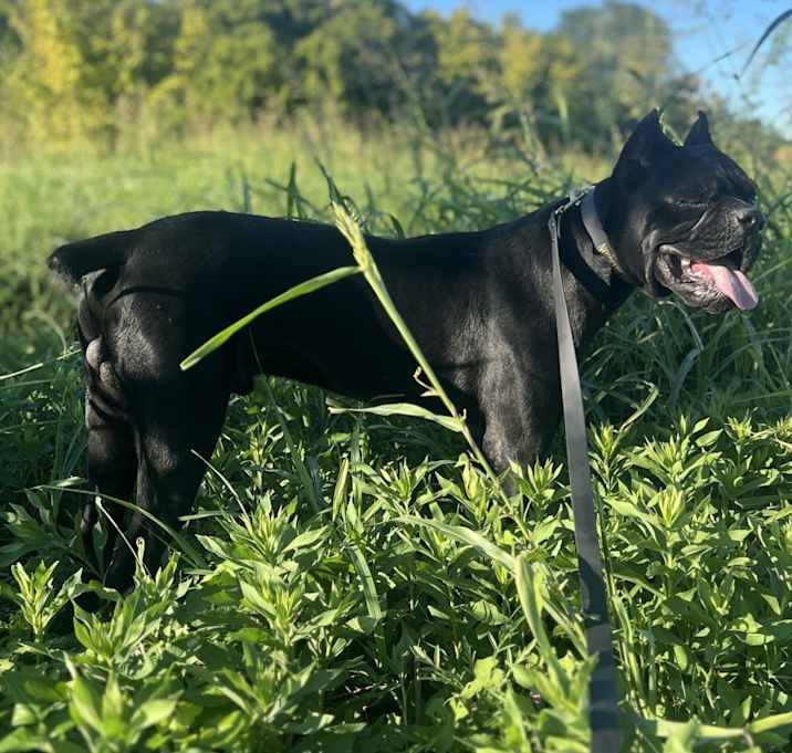 Photo of Eros