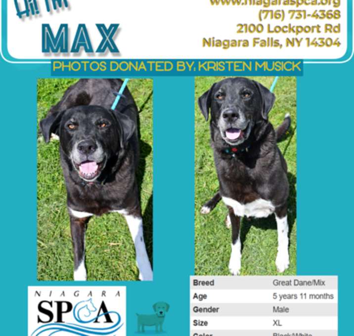 Photo of Max