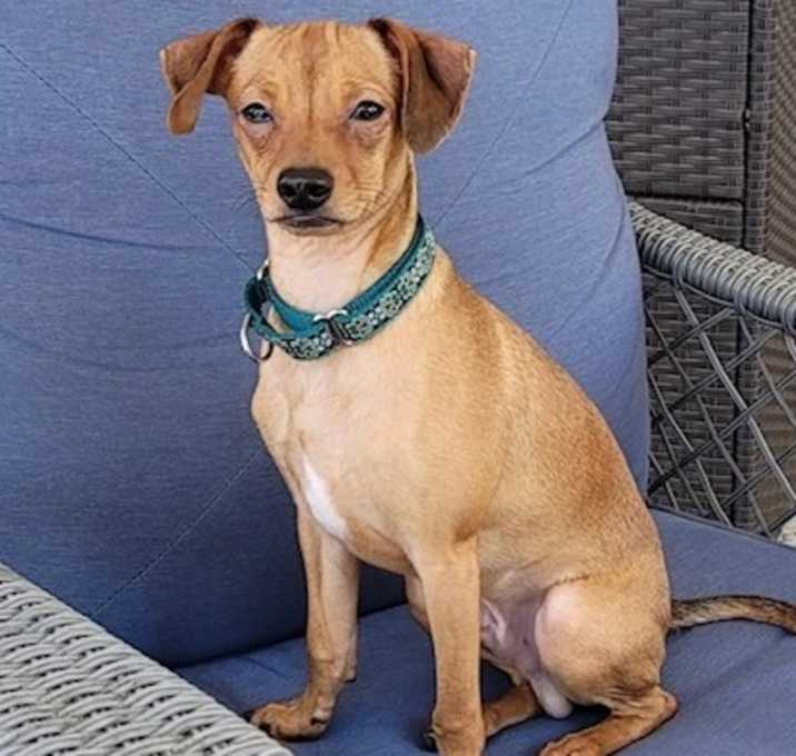 Photo of Baby Junior