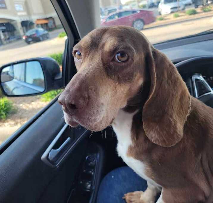 Photo of Maggie