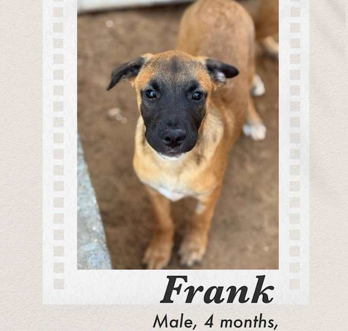 Photo of Frank
