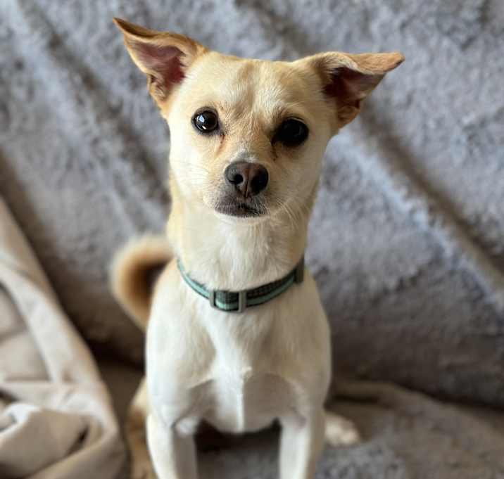Photo of Benny