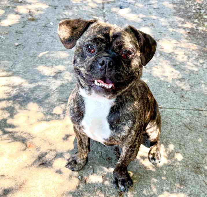 Photo of BERRY