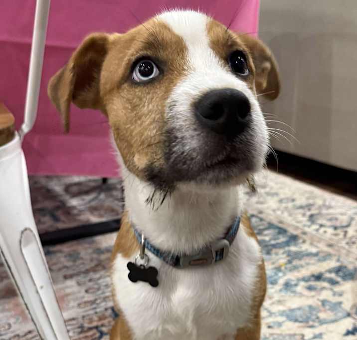 Photo of Max