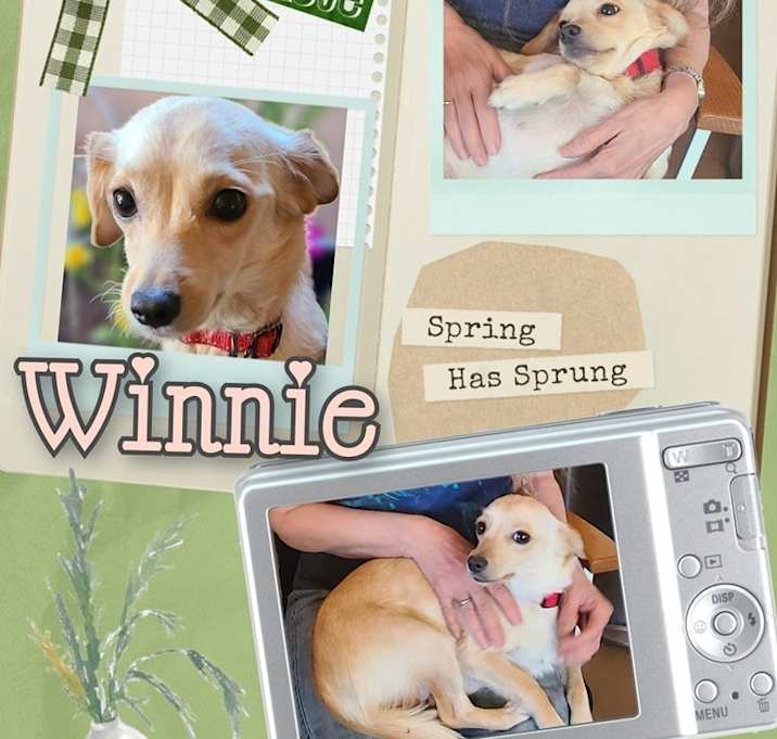 Photo of Winnie