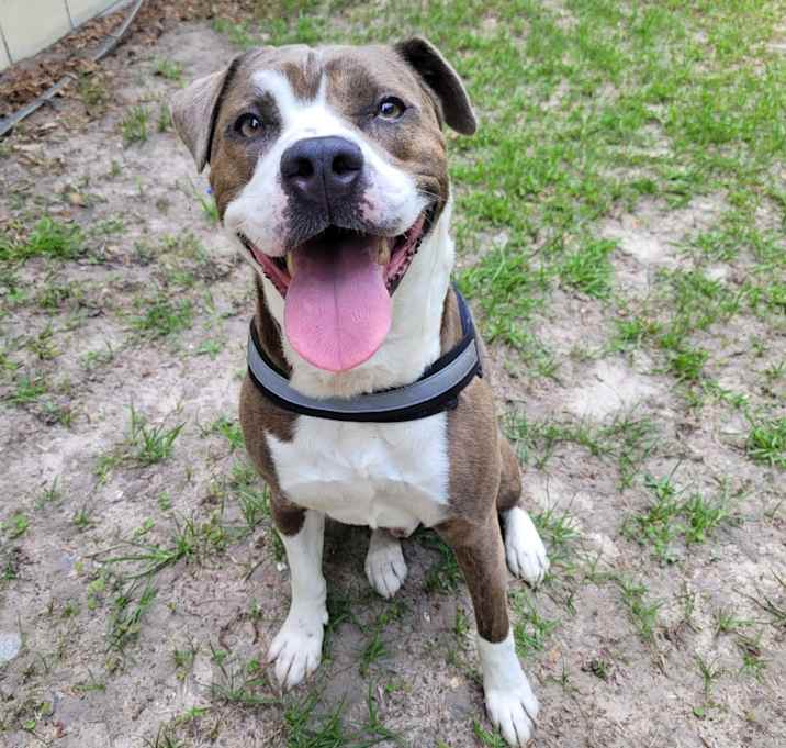 Photo of Cash