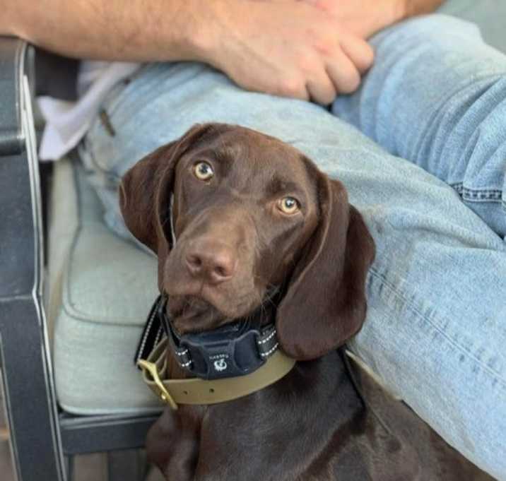 Photo of Millie