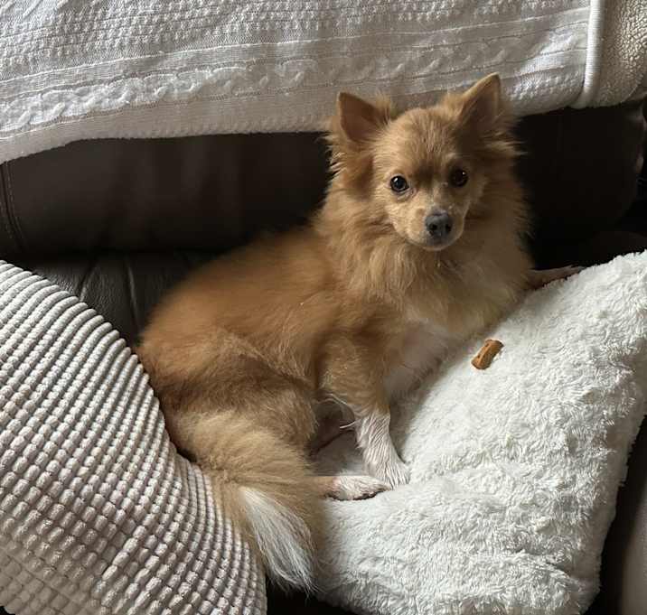 Photo of Charlie