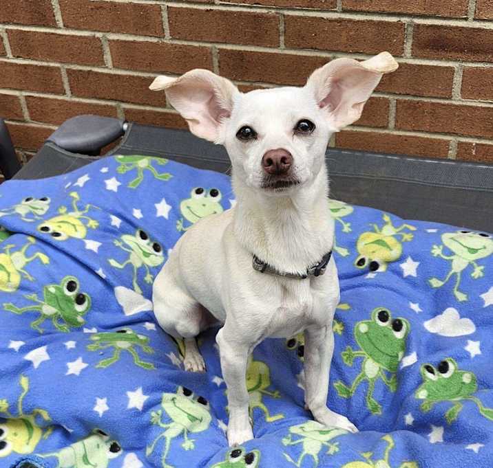 Photo of Sammie