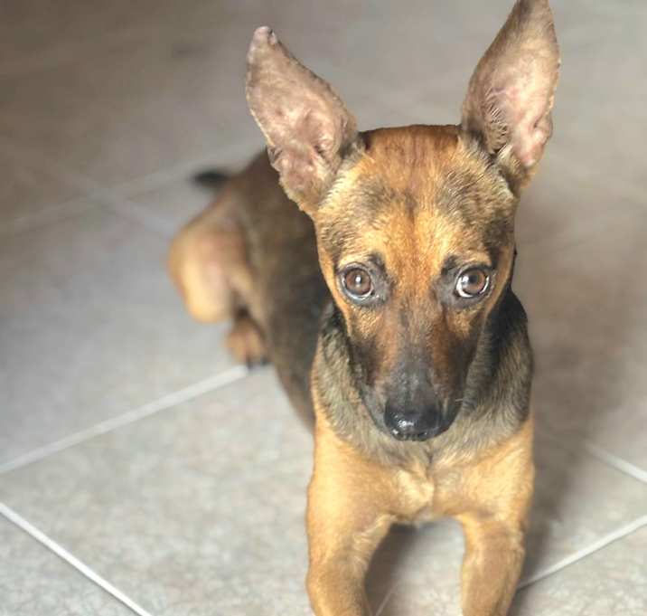 Photo of LUCIA
