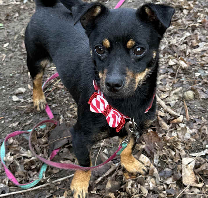 Photo of Lulu