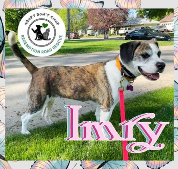 Photo of Imry *NEW ARRIVAL*