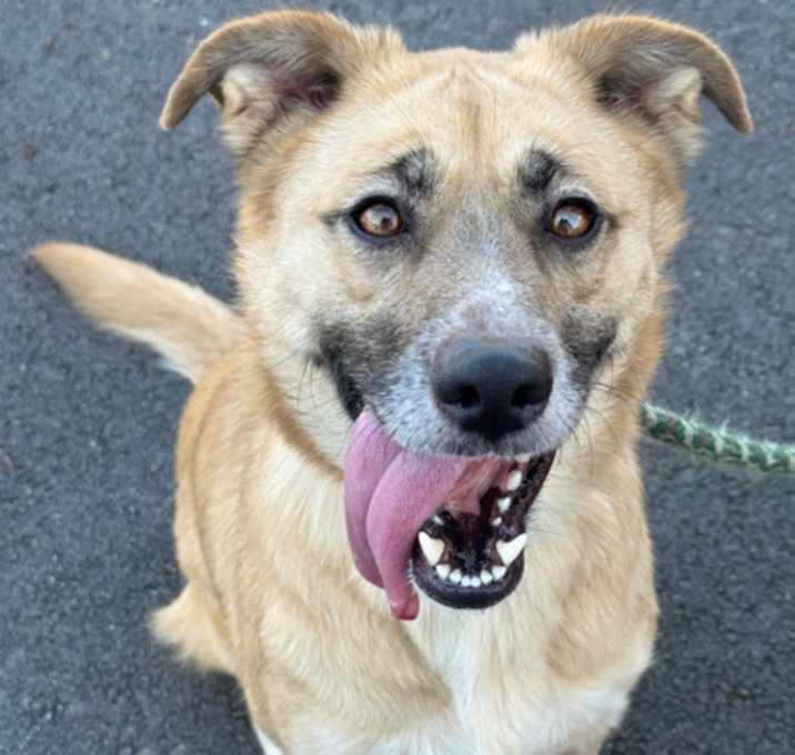 Photo of Lucy