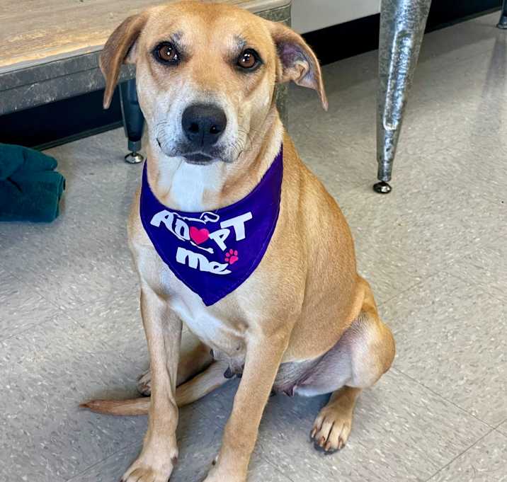 Photo of Lina 25-04-170