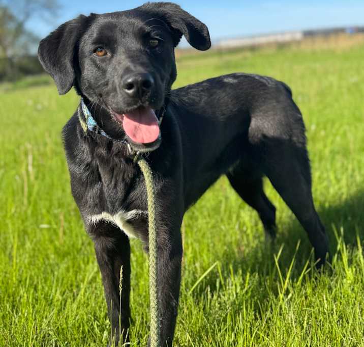Photo of Junior