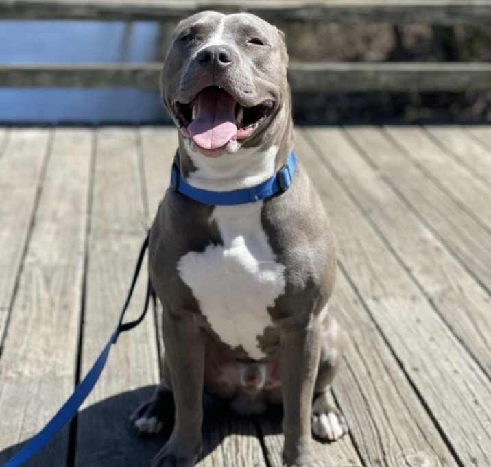 Photo of Blue