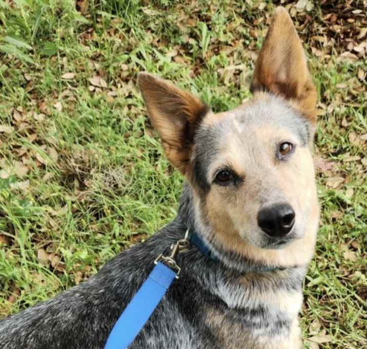 Photo of Luna