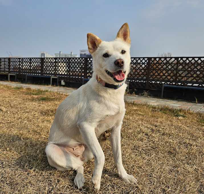 Photo of DAEUN