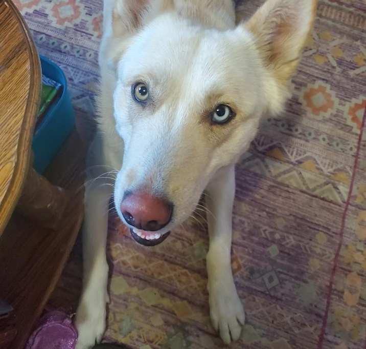 Photo of Lola