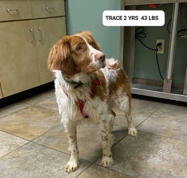 Photo of KS/Trace