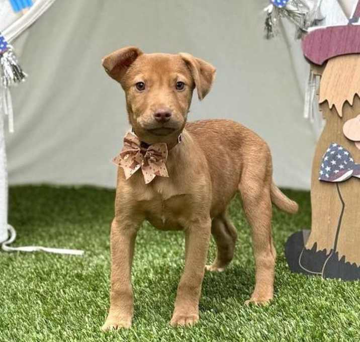 Photo of Arlo