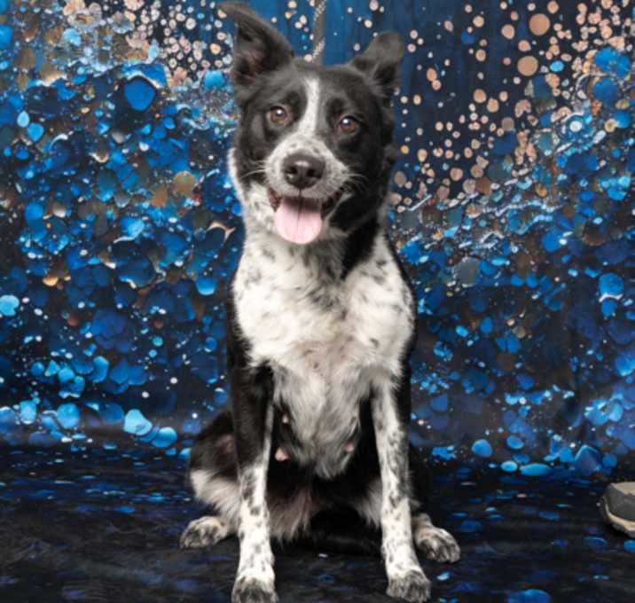 Photo of Coraline
