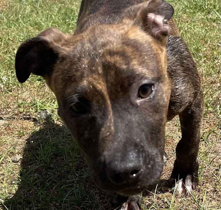 Photo of XENA/URGENT