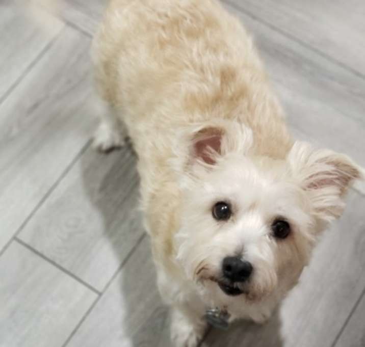 Photo of Bentley
