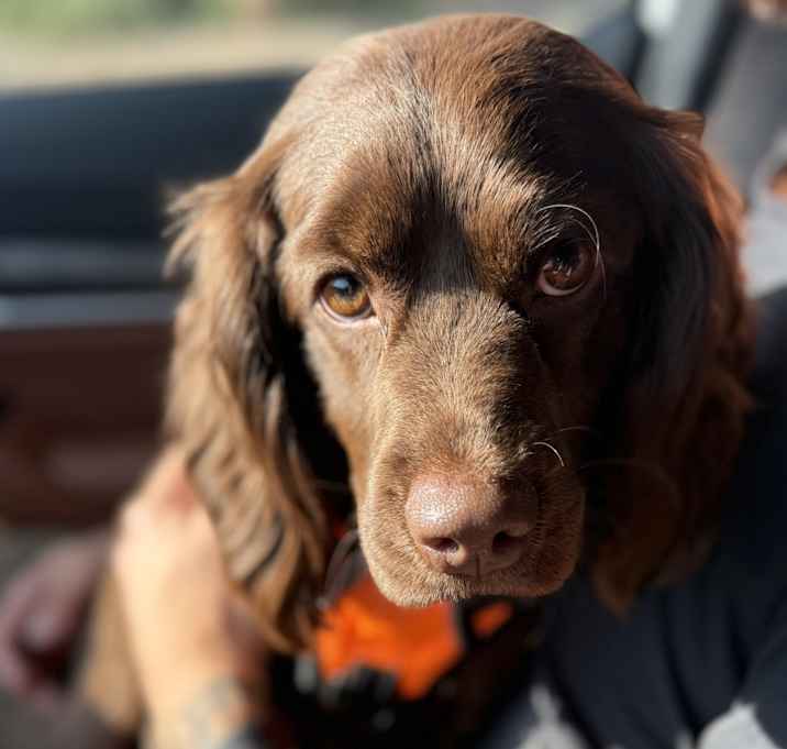 Photo of Winston