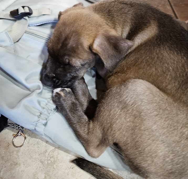Photo of Maggie